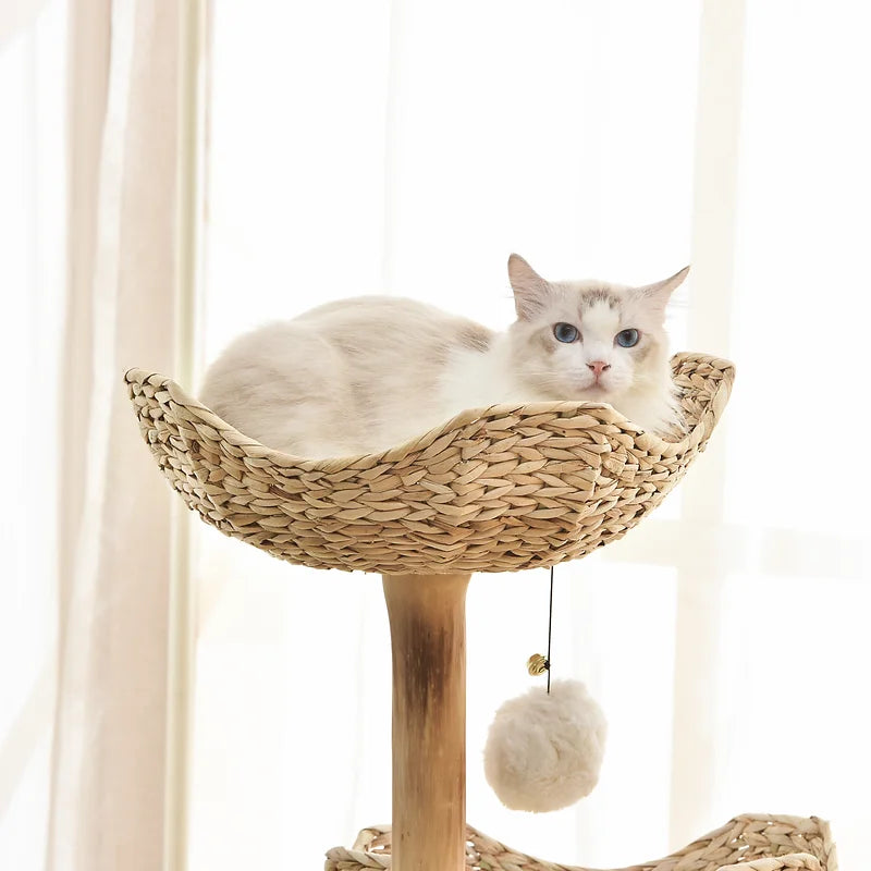 Michu® Selected Real Wood Luxury Cat Tree / Cat Tower - Large (H 1.2m)