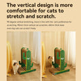 Load image into Gallery viewer, Petree® Urban Oasis DIY Cat Scratcher / Cat Scratching Post - Cactus Mini
