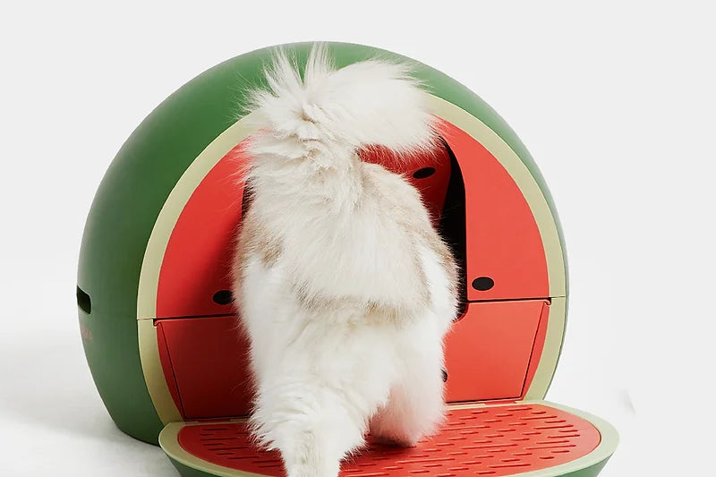 VETRESKA® Fruity Cat Litter Box - Watermelon (Free Litter Scoop + Teaser Wand)