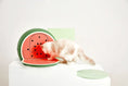 Load image into Gallery viewer, VETRESKA® Fruity Cat Litter Box - Watermelon (Free Litter Scoop + Teaser Wand)
