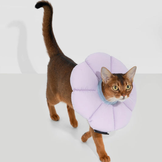 HiDREAM® Adjustable Pet Recovery Collar / Flower Elizabethan Collar Ring For Cats