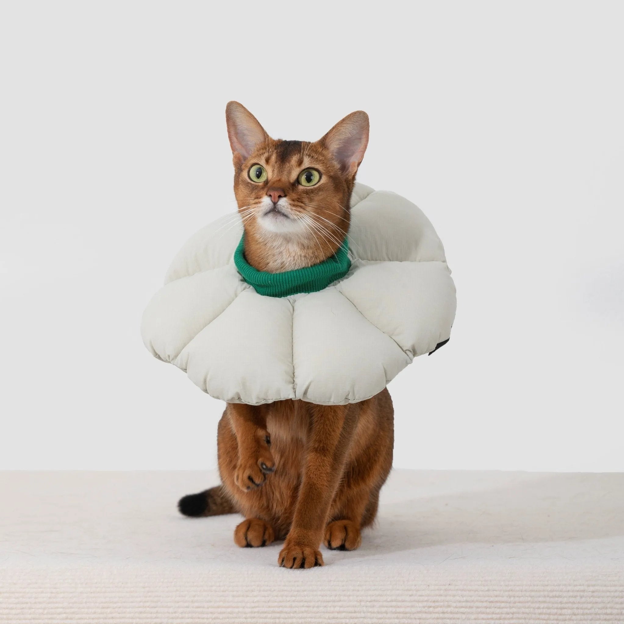HiDREAM® Adjustable Pet Recovery Collar / Flower Elizabethan Collar Ring For Cats