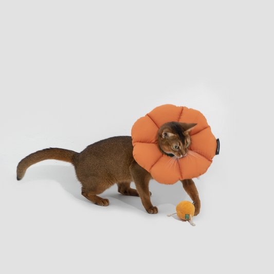 HiDREAM® Adjustable Pet Recovery Collar / Flower Elizabethan Collar Ring For Cats