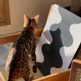 Load image into Gallery viewer, Momoland Coral Modern Wall-Mounted Cat Scratching Board / Cat Scratch Pad
